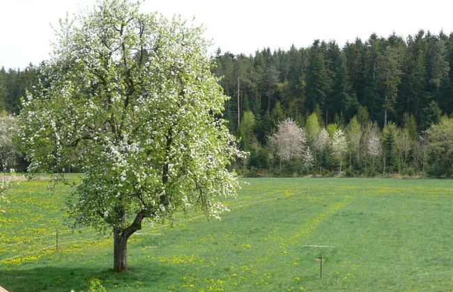 2 Fuchskreuzhof - Foto 19
