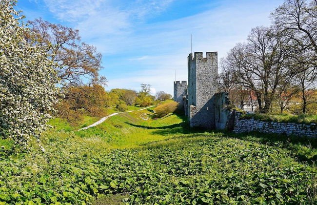 5 Person Holiday Home in Visby-by Traum - Foto 24