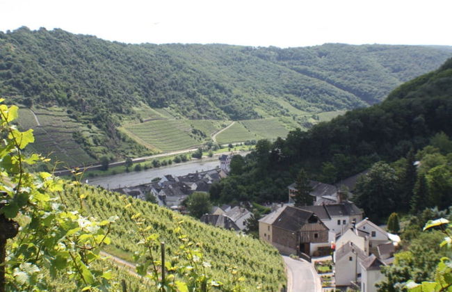 The Moselle Gate to Koblenz - Photo 20