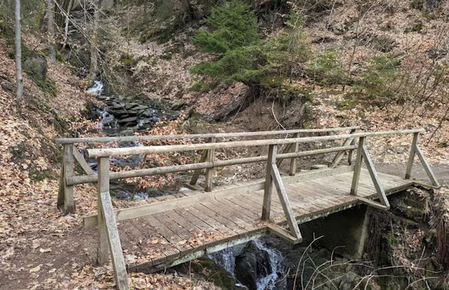 Ebenerdige Wohnung mit Terrasse in Winterberg - Foto 24