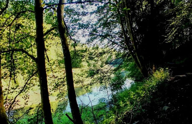 Moderne Gemeinschaftsunterkunft in Winterberg - Foto 42