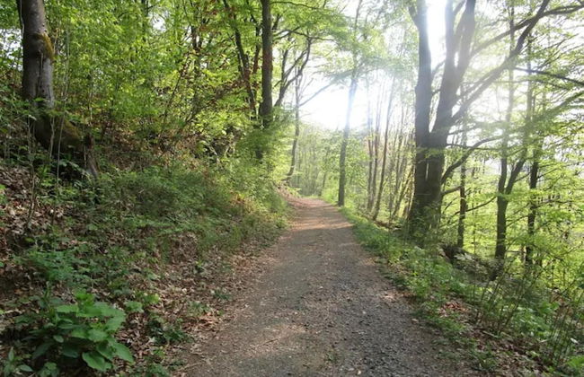 Ebenerdige Wohnung mit Terrasse in Winterberg - Foto 42