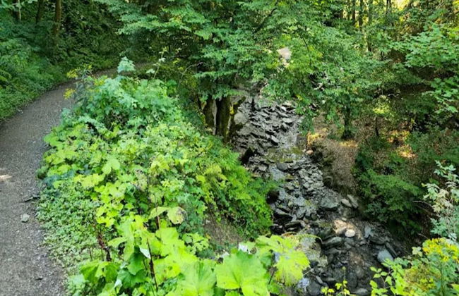 Ebenerdige Wohnung mit Terrasse in Winterberg - Foto 31