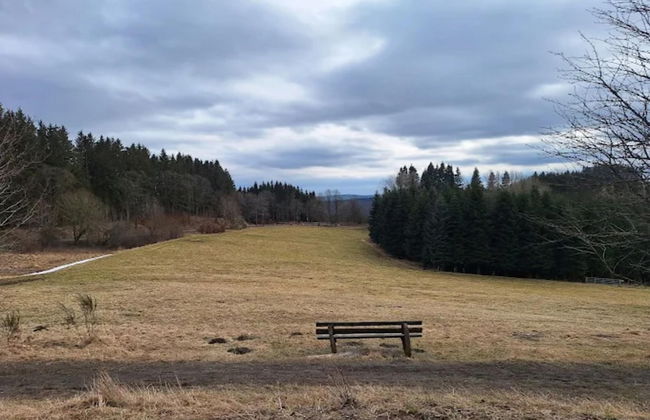 Ebenerdige Wohnung mit Terrasse in Winterberg - Foto 36