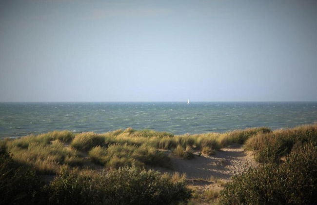 Sunny Escape by the Shore - Foto 32
