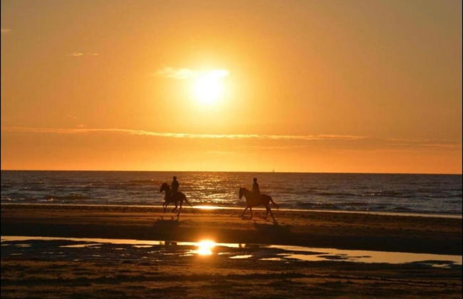 Sunny Escape by the Shore - Foto 35
