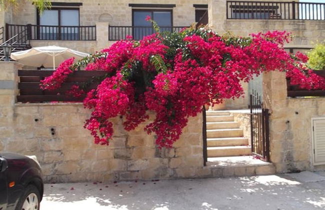 Idyllic 3 Bed Villa With Stunning Views - Photo 23