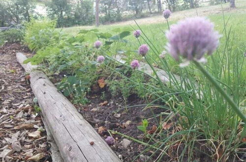 Photo 21 - Holiday Home With Natural Garden