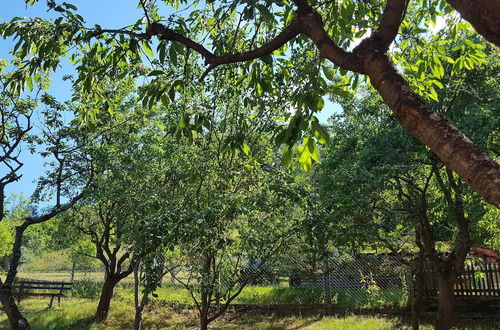 Photo 24 - Holiday Home With Natural Garden