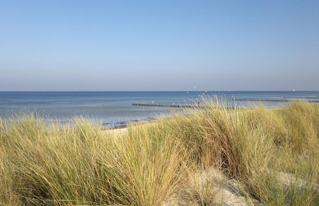 Insel-bungalow auf Poel - Foto 24