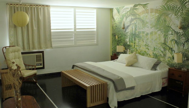 Villa in Havana with swimming pool - Foto 3