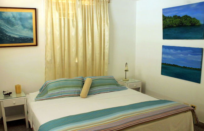 Villa in Havana with swimming pool - Foto 17