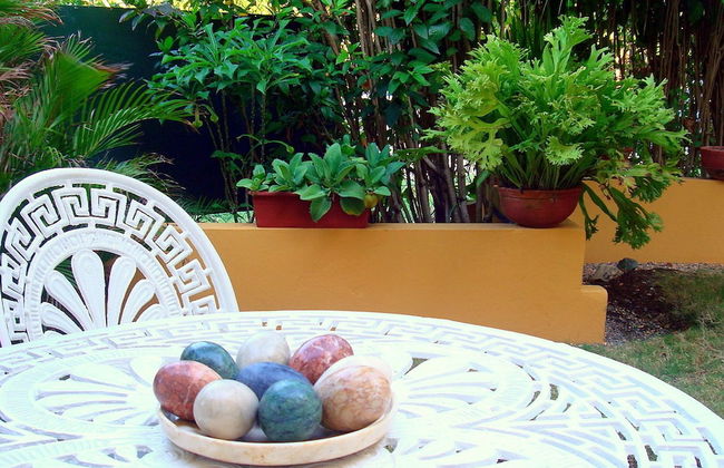 Villa in Havana with swimming pool - Foto 19