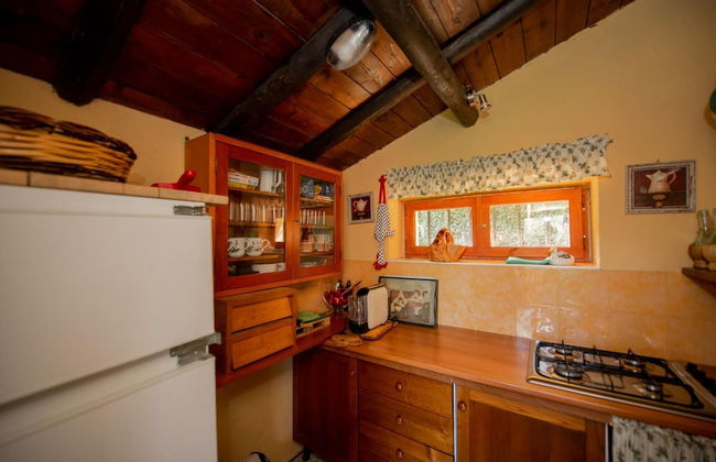 Big Family Villa in Rome Countryside - Foto 13