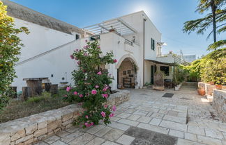 Foto 1 - Masseria Il Roseto ai Cappuccini - Casa dei Gelsomini