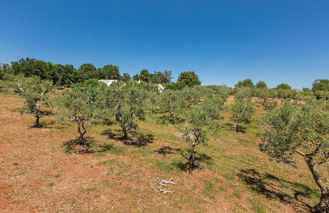 2410 Tenuta dei Fragni by Perle di Puglia - Foto 48