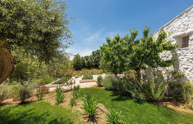 2410 Tenuta dei Fragni by Perle di Puglia - Foto 55