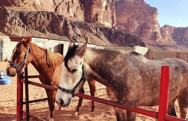 Wadi Rum Wanderlust Camp - Foto 18