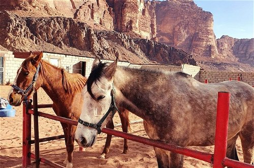 Foto 18 - Wadi Rum Wanderlust Camp