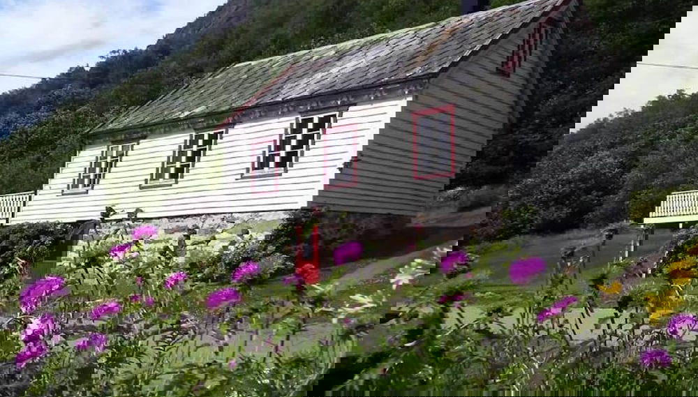 Primary image