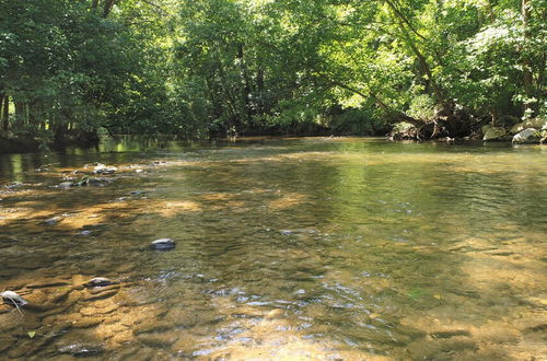 Photo 19 - Yellow Cabin on the River