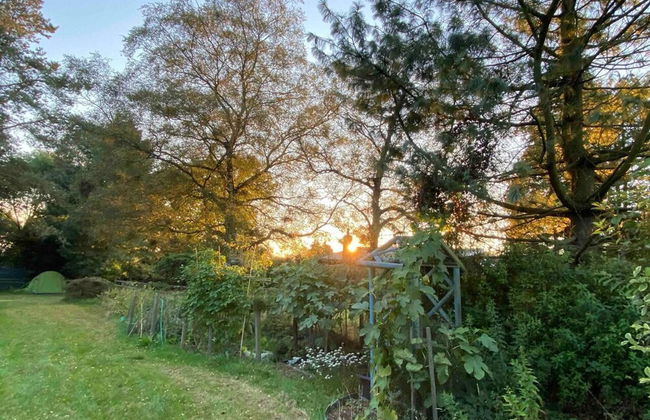 Studio/lickey Hills/near Attractions/garden/petok - Foto 16