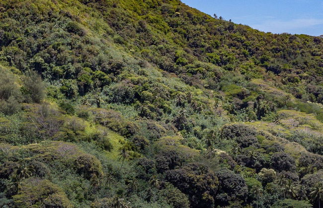 Avana Valley Heights - Foto 10