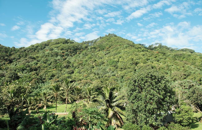 Avana Valley Heights - Foto 13