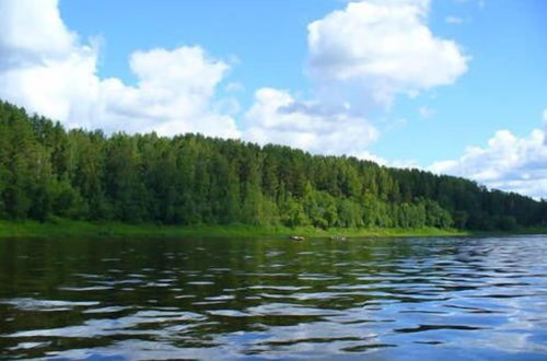 Photo 22 - House on the Volga Zavidovo