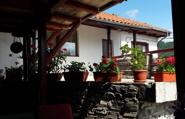 The Sharkov House - Foto 1