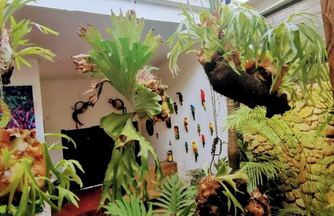 parrot house san antonio - Foto 1