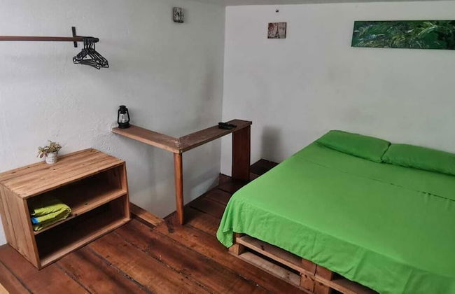 parrot house san antonio - Foto 4