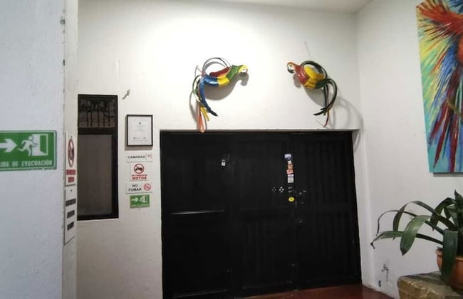 parrot house san antonio - Foto 3