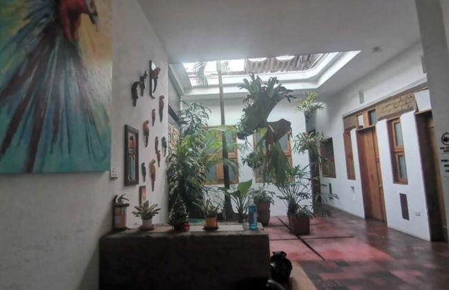 parrot house san antonio - Foto 2