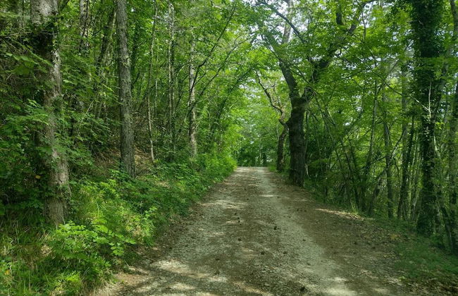 Apartment in Farmhouse - Foto 10