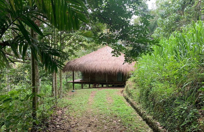 Guava House by The Serendipity Collection - Foto 2