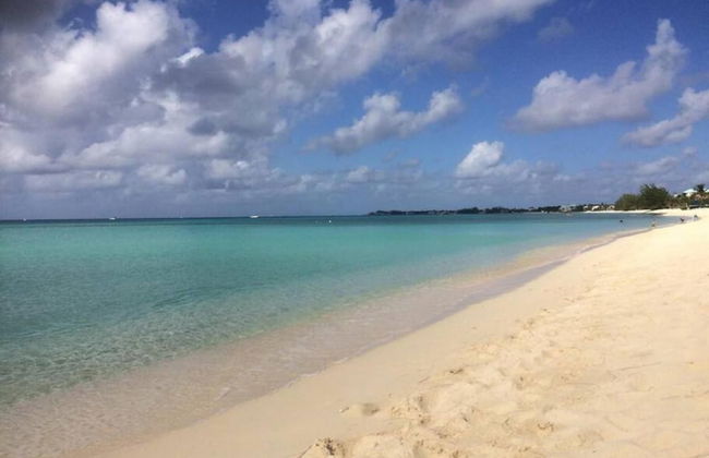 S2A Blue Pavilion - Beach Transfers Meals Tours Island Retro Chic - Foto 34