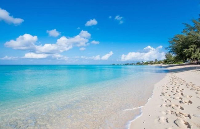 S2A Blue Pavilion - Beach Transfers Meals Tours Island Retro Chic - Foto 31