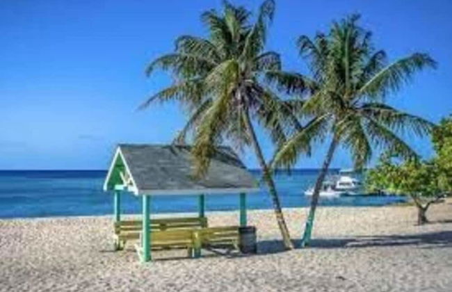 S2A Blue Pavilion - Beach Transfers Meals Tours Island Retro Chic - Foto 30