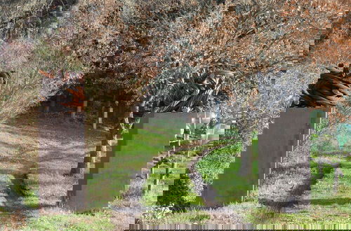 Foto 42 - Il Giardino di Daniel Spoerri