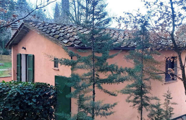 Il Giardino di Daniel Spoerri - Foto 50