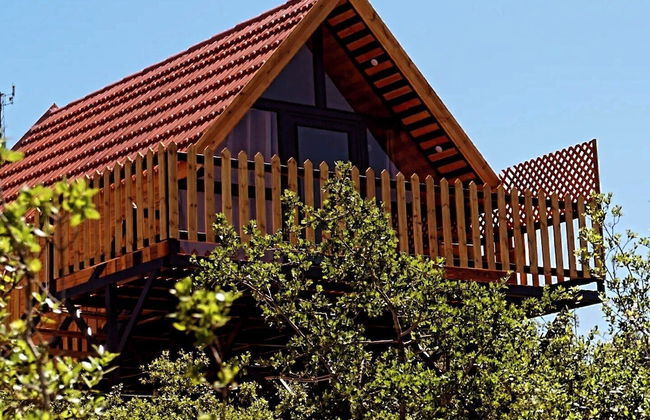 orchid huts - Foto 11