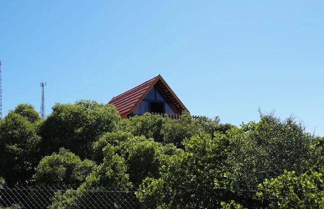 orchid huts - Foto 36