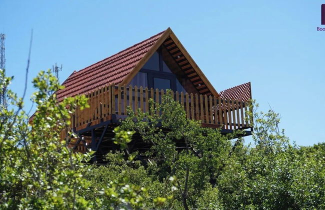 orchid huts - Foto 39