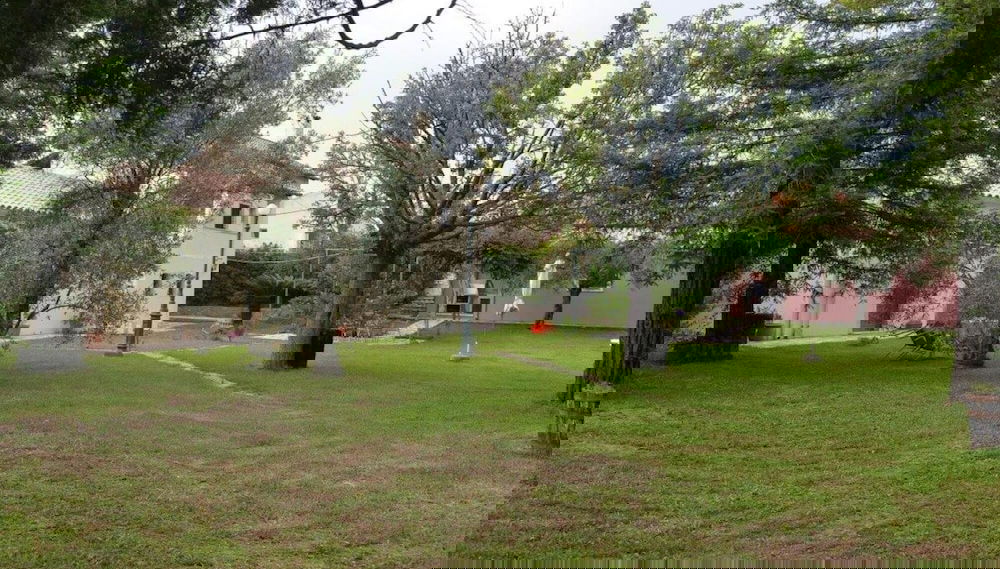 Imagem principal