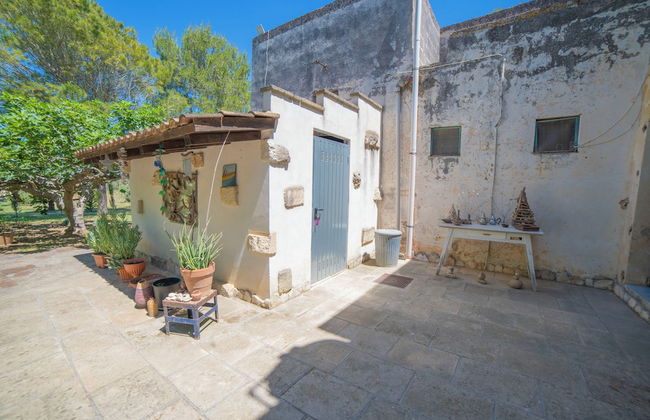Masseria Le Palmentelle Pool And Garden - Photo 41