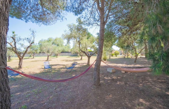 Masseria Le Palmentelle Pool And Garden - Photo 33