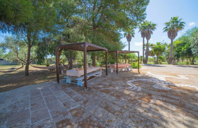 Masseria Le Palmentelle Pool And Garden - Photo 34