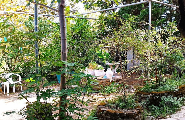 Holiday Pension Anna - Foto 8