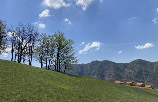 Azienda Agricola Saint Hubert - Foto 15
